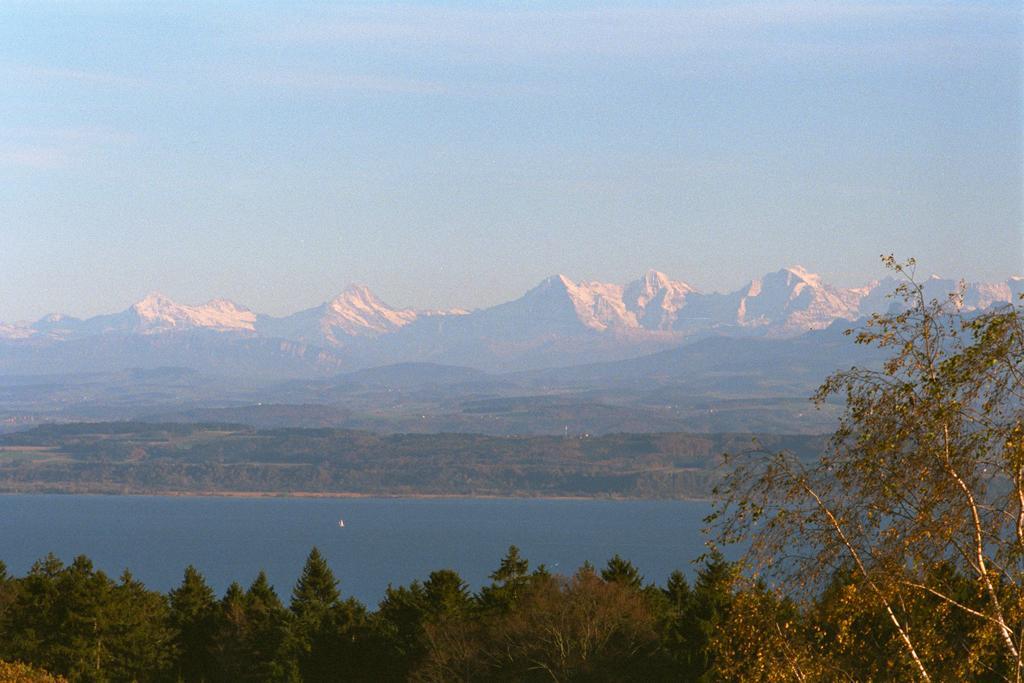 Ecohotel L'Aubier Монтезиллон Экстерьер фото